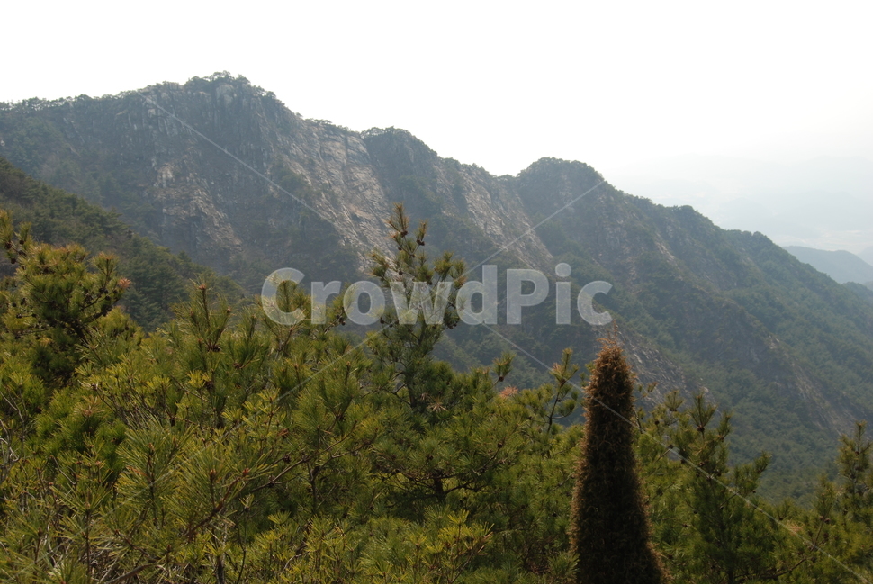산,mountain,돌,stone,자연,nature,자연,풍경,nature,landscape,tree,나무,plant,식물,fir,전나무