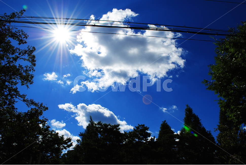 햇빛,구름,하늘,푸른,파란,청명한,빛갈라짐,자연,풍경,nature,landscape,flare,플레어,light,빛,sunlight,outdoors,옥외