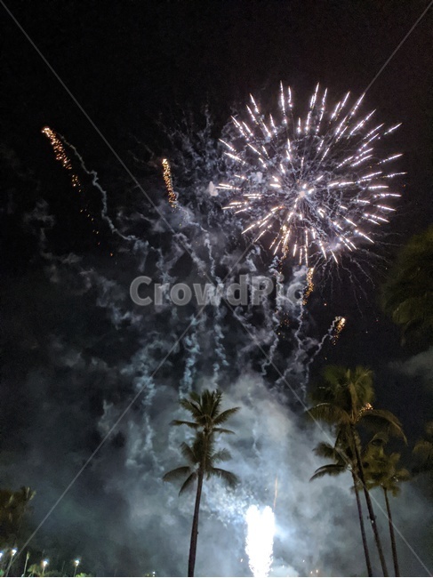 fireworks,palmtree,야자수,nightview,감성,야경,폭죽놀이,불꽃,축제,행사,밤하늘,show,hawaii,hilltonhawaiianvillage,waikiki,와이키키,하와이,자연,nature,해외