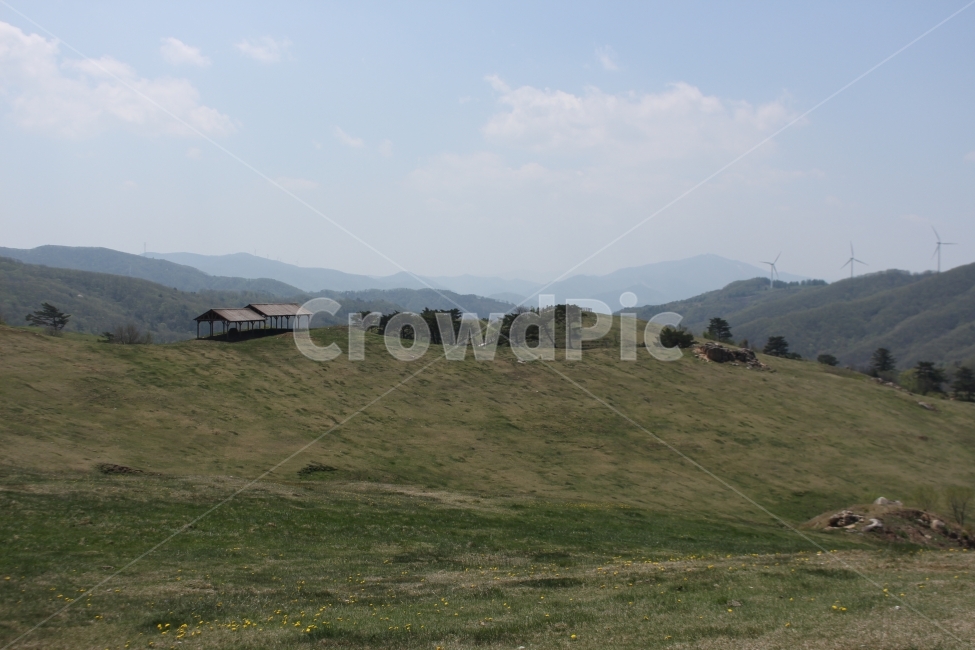 동산,초원,양떼목장,목장,풍경,자연,동해안,강원도,강릉,pasture,nature,자연,풍경,nature,landscape,한국자연풍경,한국자연경관,korea nature landscape,field,들,outdoors,옥외,grassland,목초지