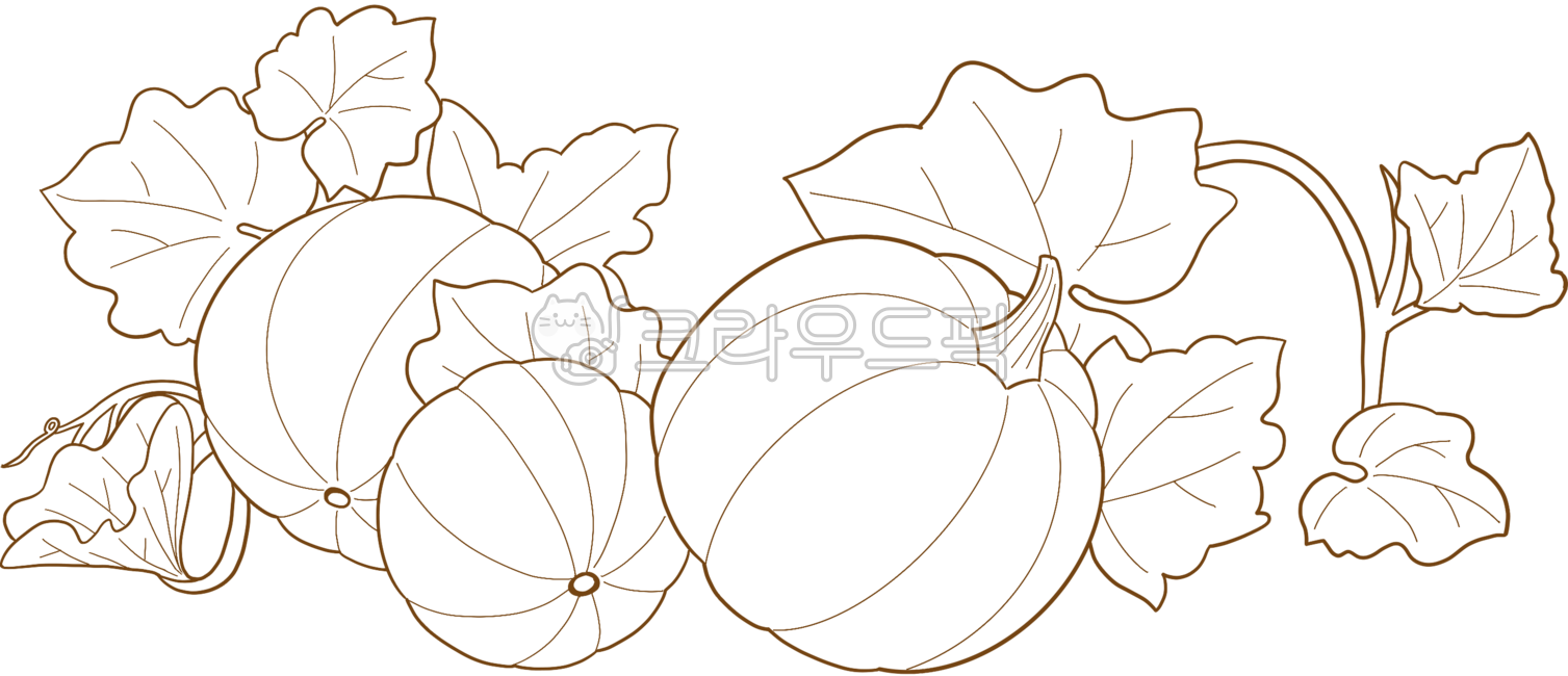 Pumpkin,pumpkin vine,pumpkin vine line drawing,line drawing,pumpkin vine coloring,pumpkin coloring,pumpkin coloring book,art class,coloring book,vegetables,vegetables,pumpkin field