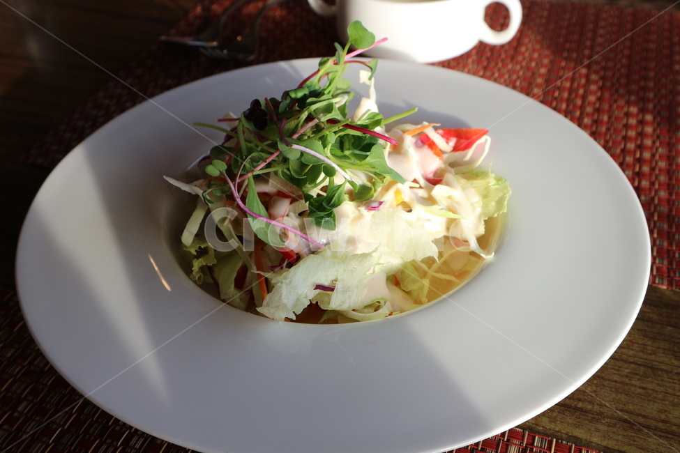 dish,요리,meal,식사,food,음식,샐러드,후식