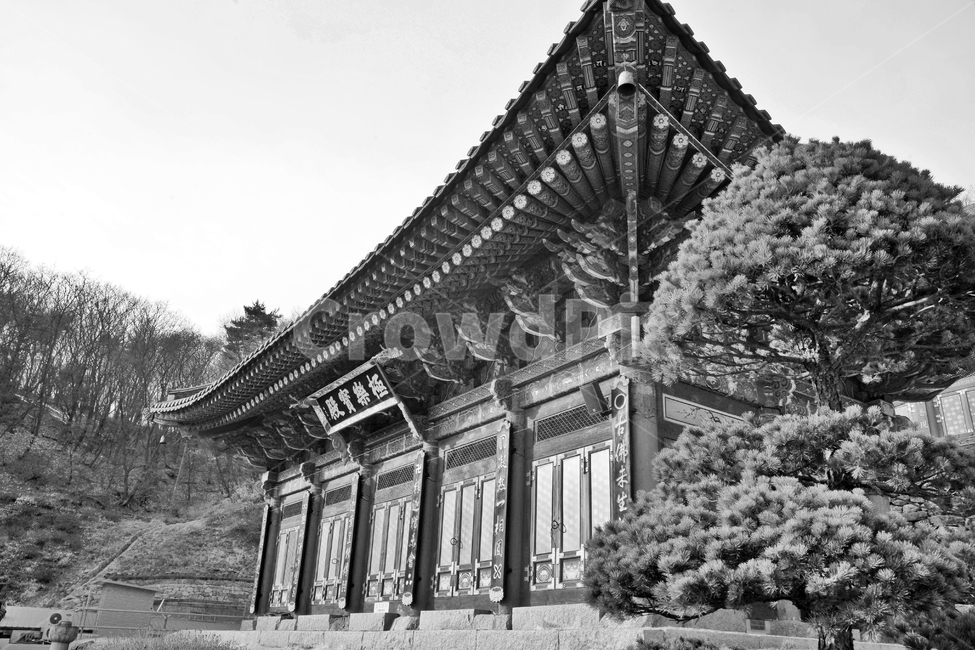 극락보전,법당,전각,망월사,남한산성,청량산,불교사찰,망월암,경기도기념물제111호,흑백
