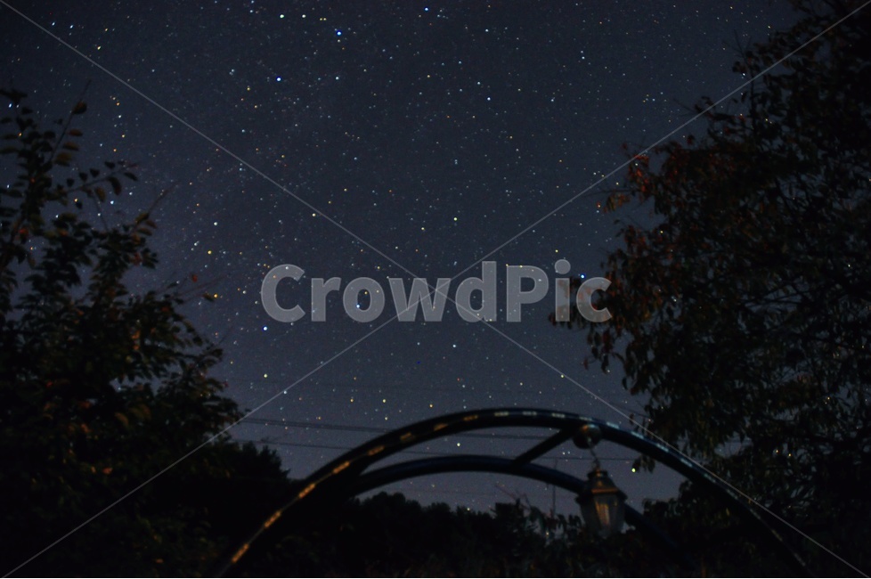 가평,밤하늘,별,나무,펜션,은하수,하늘,밤,자연,풍경,nature,landscape,야경,밤,nightscape,night,outdoors,옥외,astronomy,천문학,universe,우주,starry sky,별이 빛나는 하늘,outer space,대기권 밖,space