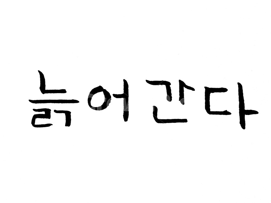 캘리그라피,나이,늙음,세월,시간,캘리그라피,손글씨,calligraphy