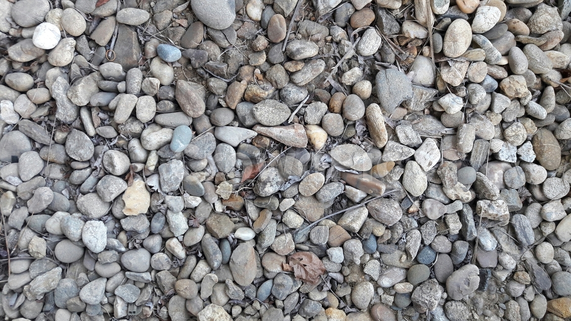 자연,마당,공원,나무,꽃,풀,자연,풍경,nature,landscape