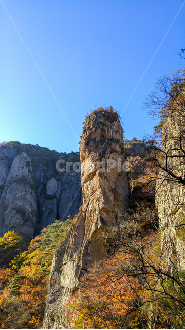 nature,자연,바위,괴암석,가을