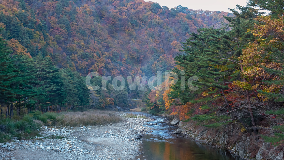 nature,자연,outdoors,단풍,가을,계곡,가을,계절,fall,autumn,season,자연,풍경,nature,landscape,water,물,옥외