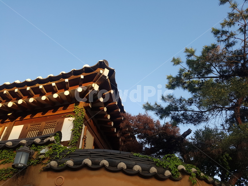 북촌,한옥,하늘,기와,처마,한국,한국식,소나무