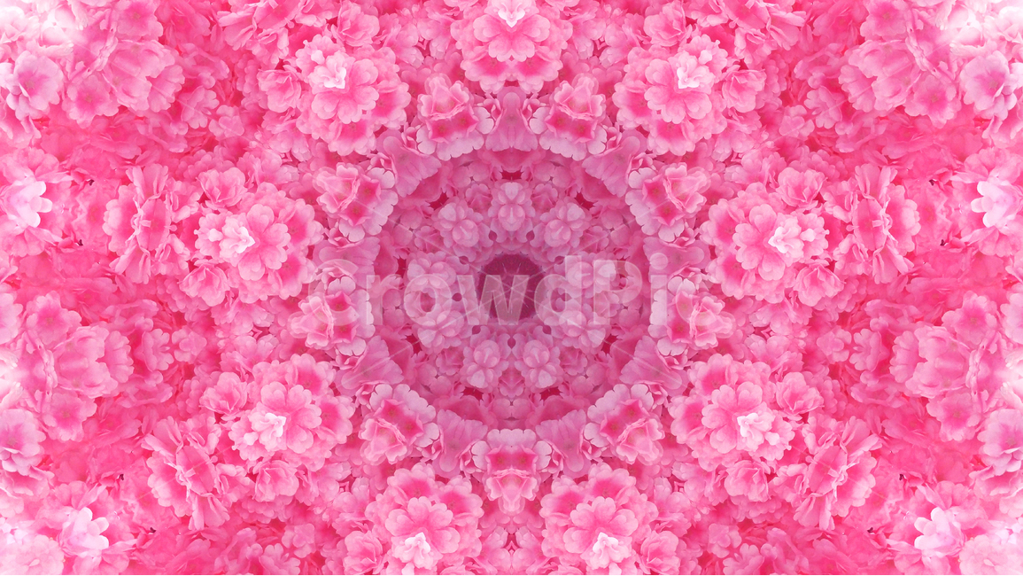 패턴,기하학,추상,360도,배경,환상적,background,wallpaper,색감,색상,아름다운,artistic,칼라풀,예쁜,모던,morden,백그라운드,디자인,graphic,design,art,feeling,emotion,sensibility,colorful,분위기,필링,그래픽,라인,컨셉,디자인소스,화려한,아트,샤프한,웹,느낌,효과,웨이브,꽃무늬,핑크색,분홍색,pink,그래픽,일러스트레이션,graphic,illustration,텍스처,질감,패턴,texture,pattern
