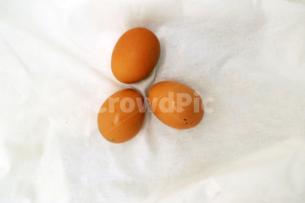 food,음식,egg,계란,트리플,달걀,콜레스테롤,건강,요리,영양,음식,식재료,요리,food,cook,meal,dishes,food reserves
