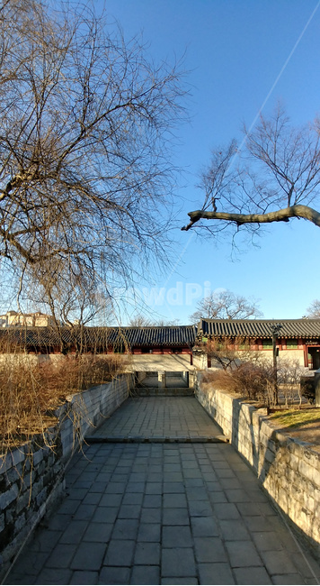 창덕궁,궁,기와,왕궁,전통,겨울,계절,winter,season,한국전통,한국문화,korean traditional,korean culture,랜드마크,landmark,tourist attraction,한국랜드마크,한국관광지,한국명소,korea landmark,korea tourist attraction