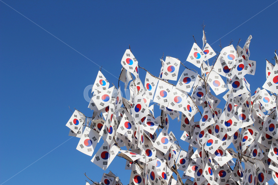 태극기,국기,한국국기,하늘,태극기나무