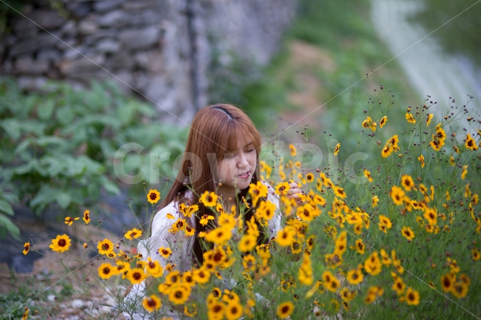 인물,풍경,꽃,portrait,landscape,flower,식물,자연,plants,nature,꽃,flower,사람,인물,인간,human,person,여성,여자,woman,female,lady