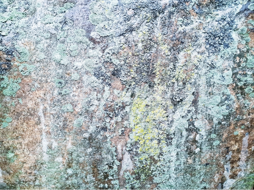 이끼,자연,식물,바위,배경,moss,nature,flora,rock,background,자연,풍경,nature,landscape,록