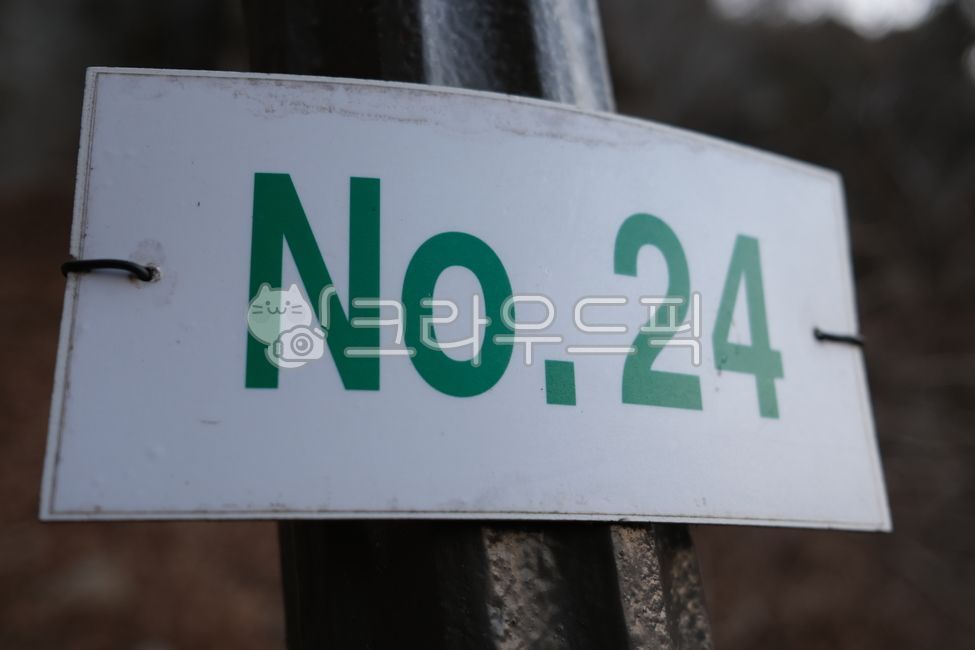 number, no, 24, no24, 숫자, 사진,이미지,일러스트,캘리그라피 - 늘영화처럼작가