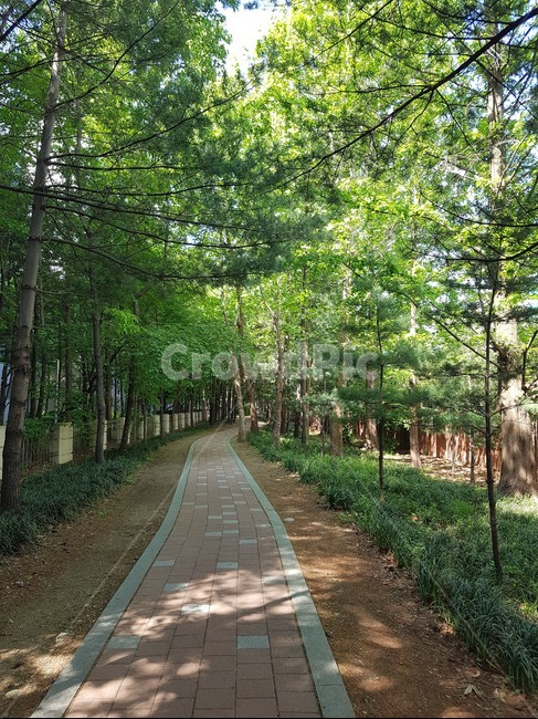brick,자연,초록,green,나무,보도블럭,공원,힐링,한적한,조용한,nature