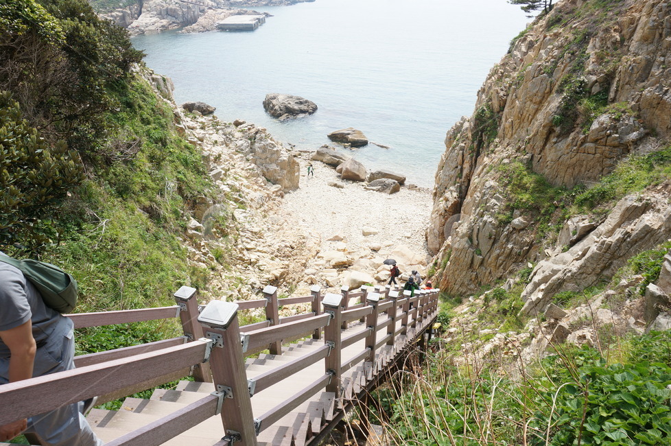 섬,바다,소매물도,매물도,돌,강아지,다리