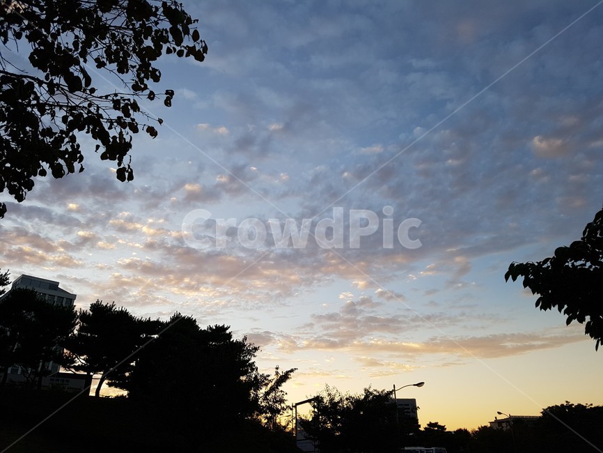 nature,자연,outdoors,옥외,sky,하늘,노을,sunset