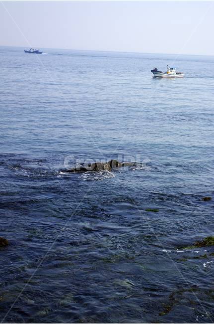 강릉,사천,바다,동해,수평선,배,sea,자연,풍경,nature,landscape,산업,industry,industrial,어업,fishery,fishing industry,leisure activities,레저 활동,adventure,모험