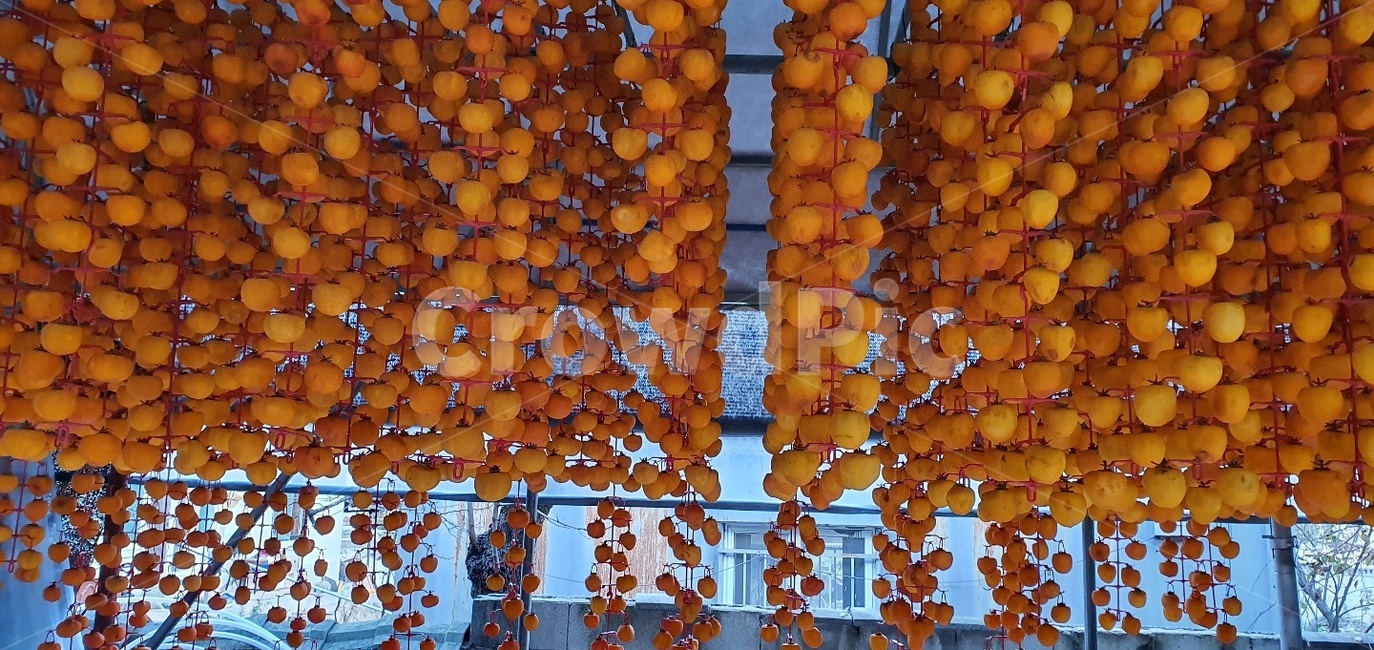 감,대봉,곶감,자연,과일,과일,열매,fruit