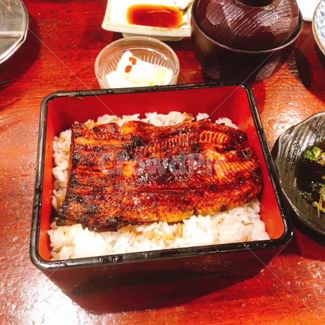 일본요리,장어덮밥,장어,생선요리,밥,음식,일본,japan,food