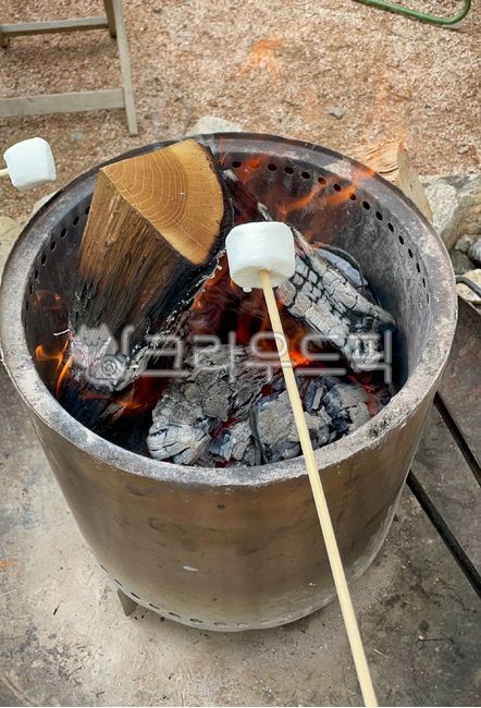 firewood,marshmallow,fire