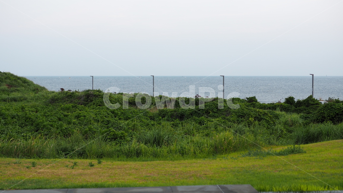 제주도,섭지코지,바다,자연,들판