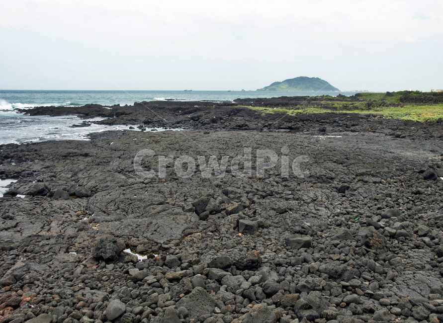 해녀콩서식지,해안길,제주,올레14코스,올레길,자연,풍경,nature,landscape,제주도,jeju,jeju island,soil,흙,ground,바닥