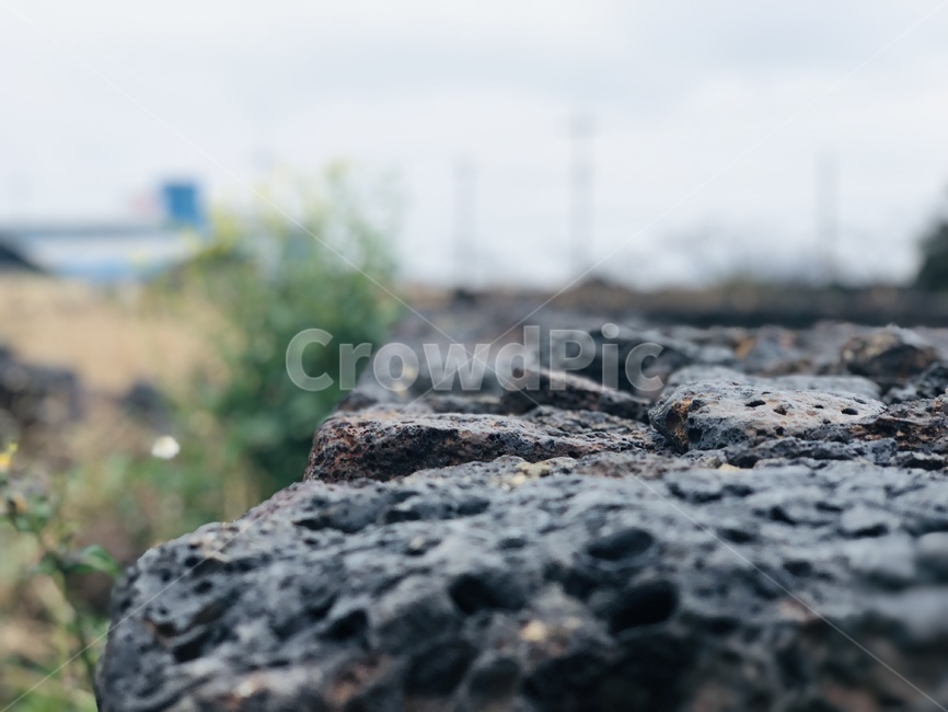 돌,꽃,풀,울타리,하늘,rock,flower,fence,sky,grass,자연,nature,현무암,basalt,자연,풍경,nature,landscape,제주도,jeju,jeju island