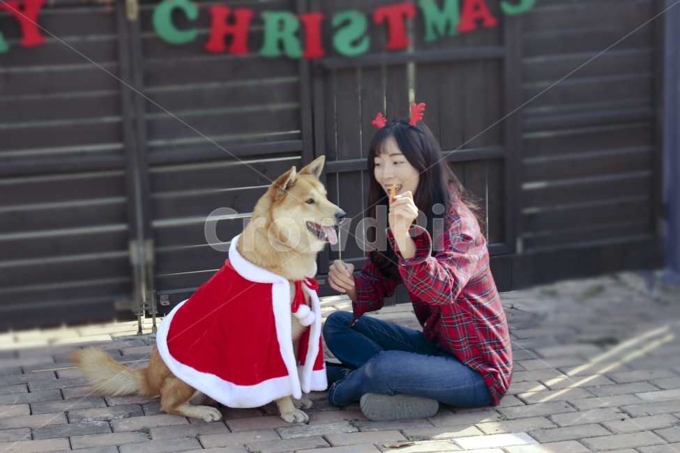 크리스마스,가족,사랑,반려견,산타,겨울,계절,winter,season,동물,animal,포유류,mammal,사람,인물,인간,human,person,여성,여자,woman,female,lady,기념일,축하,anniversary,congratulation,celebrate,celebration,메리크리스마스,성탄절,merry christmas