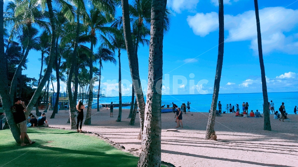 summer,여름,해변,하와이,와이키키,와이키키해변,바다,hawaii,waikiki