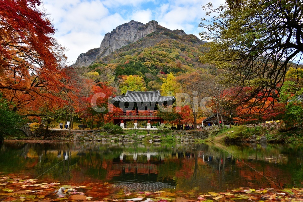 전남,장성,북하면,백양사,연못,백학봉,쌍계루,가을,추색,단풍,자연,경치,경관,풍경,산,가을,계절,fall,autumn,season