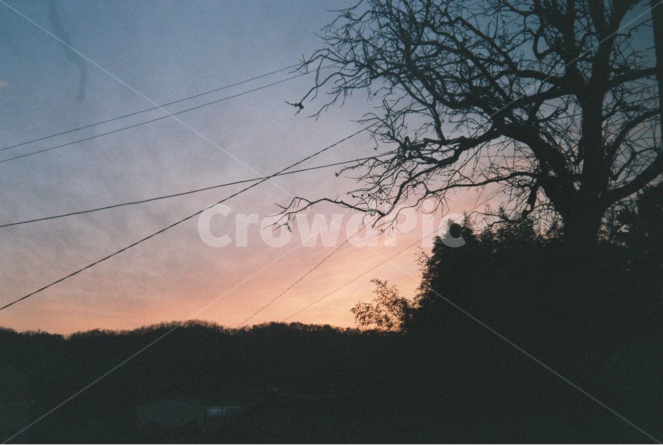 노을,겨울,나무,그림자,산,시골,저녁,gradation,그라데이션,자연,풍경,nature,landscape,실루엣,그림자,silhouette,shadow,cable,케이블