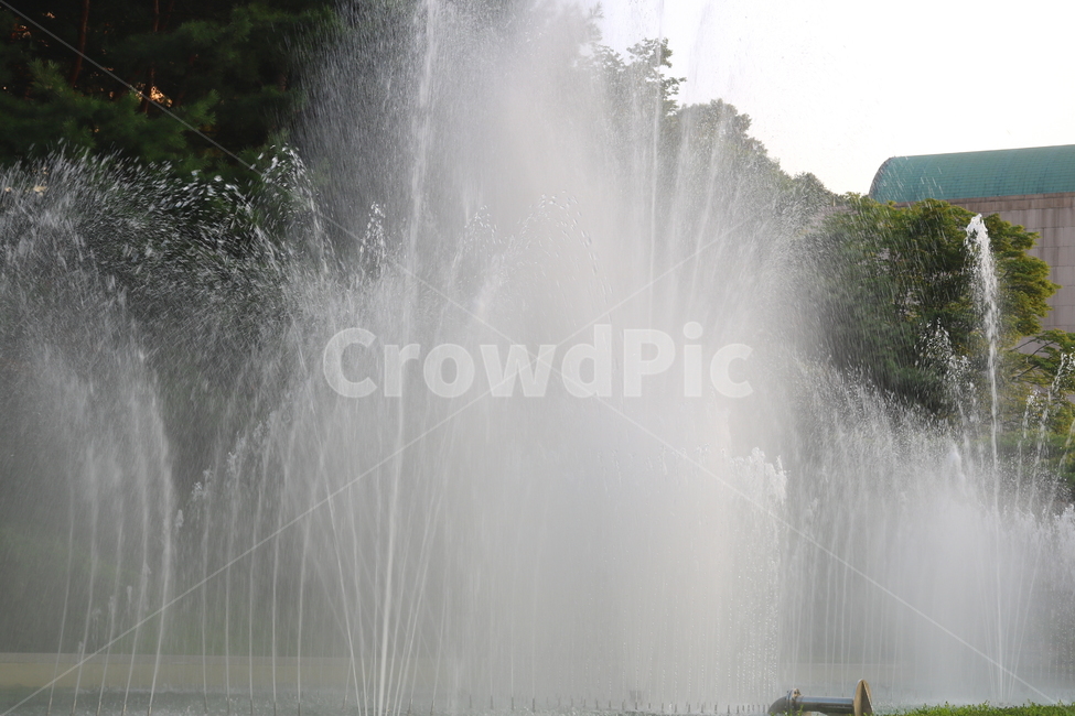 분수,분수대,물,공원,예술의전당,나무,소나무,자연,풍경,nature,landscape,water,fountain