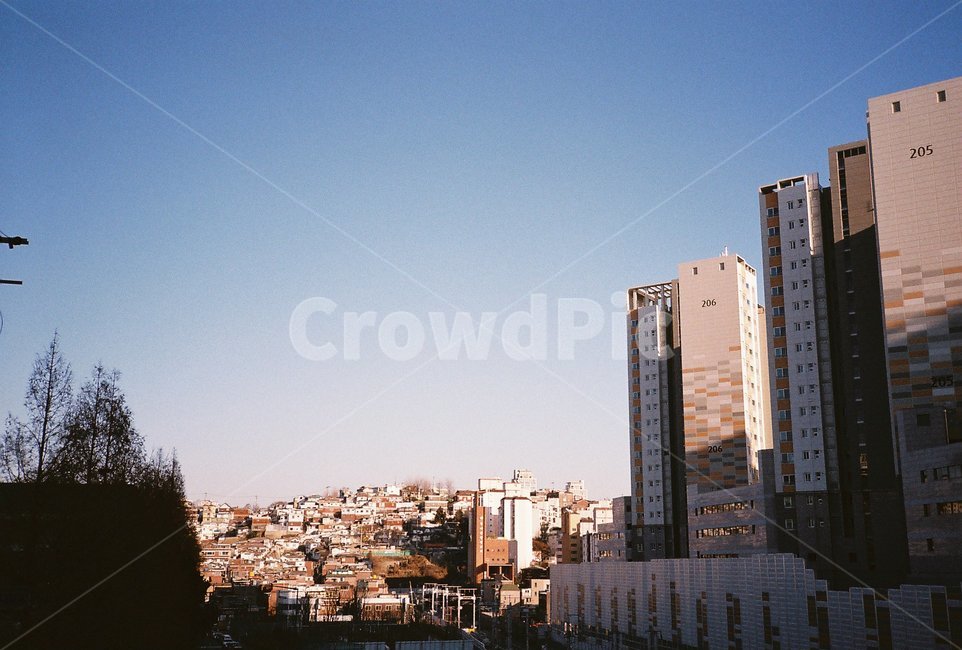 하늘,sky,도시,건물,building,city,필름,film,필름사진