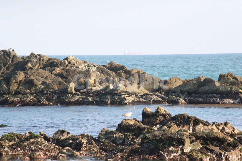 부산,기장,바닷가,겨울바다,바위