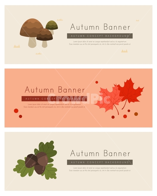 버섯,단풍잎,도토리,잎,배너,가을,이벤트,가을,계절,fall,autumn,season,축제,행사,festival,carnival,event,그래픽,일러스트레이션,graphic,illustration,plant,식물,leaf