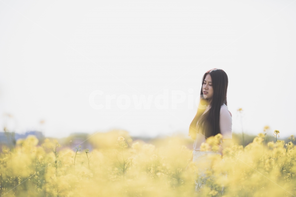 유채꽃,꽃,들판,노랑,여자,사람,인물,풍경,감성,자연,flower,yellow,girl,human,portrait,landscape,nature,field,사람,인물,인간,human,person,여성,여자,woman,female,lady,감성,sensible,feeling