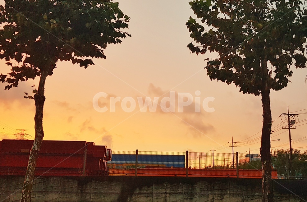 나무,석양,노을,저녁,식물,날씨,자연,tree,sunset,evening,nature,plant,붉은색,red
