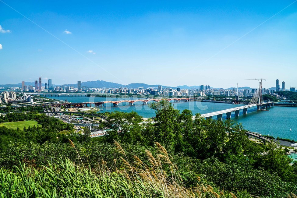 하늘공원,억새,경치,한강,옥외,자연,들,nature,farm,도시,풍경,city,landscape