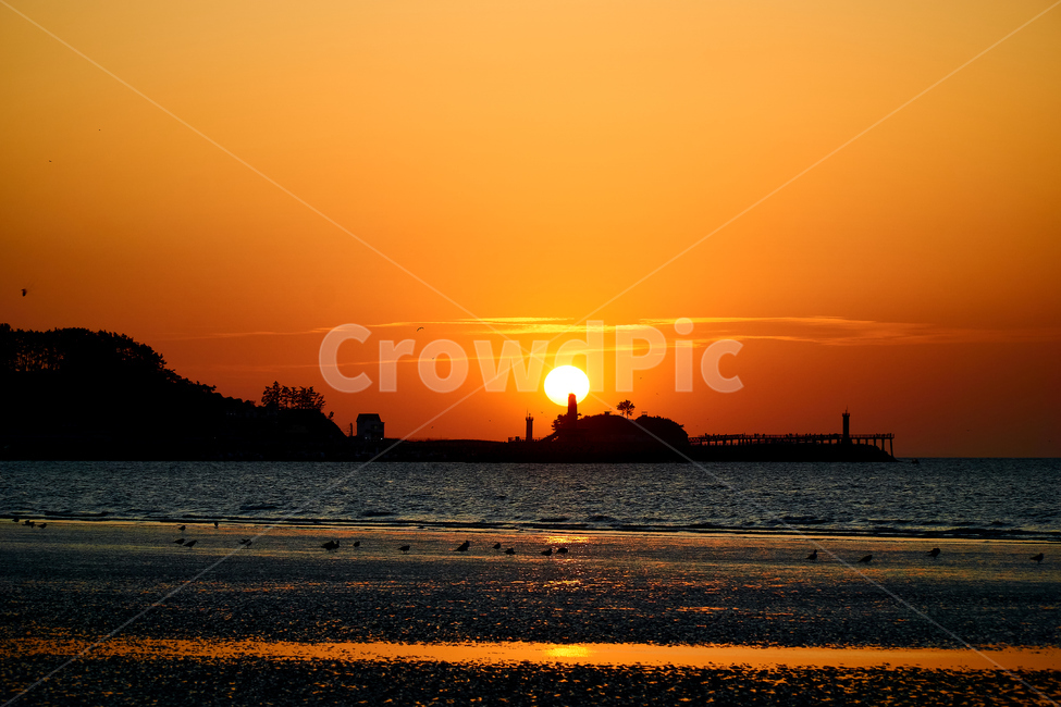 nature,자연,일몰,옥외,outdoors,햇빛,황혼,sunset,sky,하늘,dawn,redsky,춘장대,바닷가,풍경,서해일몰,westseasunset,감성,하루,낙조,자연,풍경,nature,landscape,해변,바다,beach,sea,sunlight,dusk,새벽,red sky,붉은 하늘