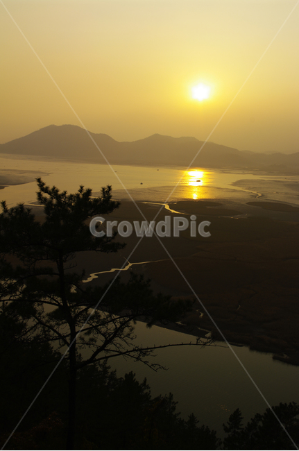 순천만,일몰,석양,노을,풍경,갈대밭,자연,풍경,nature,landscape,light,빛,flare,플레어,sunlight,햇빛