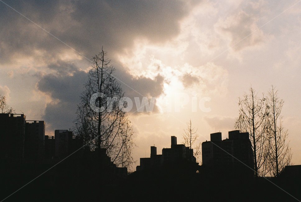 풍경,자연,구름,하늘,나무