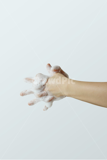 손,손소독,손씻기,공중보건,위생,비누거품,거품,비누,청결,누끼,보건,의료,헬스케어,건강,감염,핸드워시,손청결,사람,인물,인간,human,person,신체일부,몸,body,건강,헬스웨어,헬스케어,healthware,health care