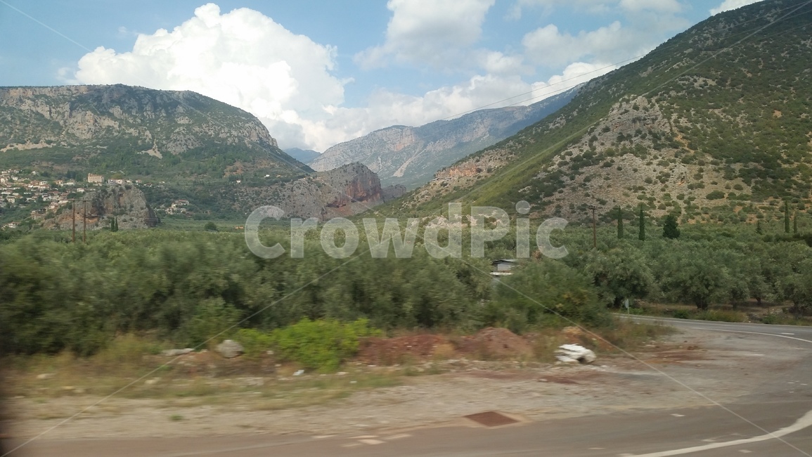 언덕,countryside,올리브,olive,올리브나무,자연,풍경,nature,landscape