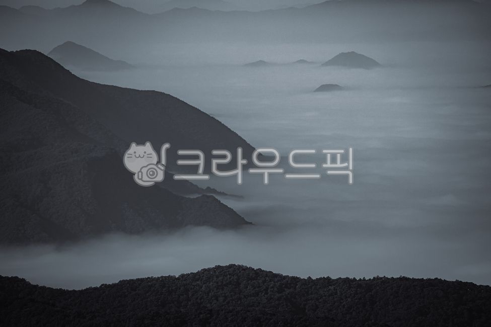 육백마지기,운해,구름,안개,산,강원도