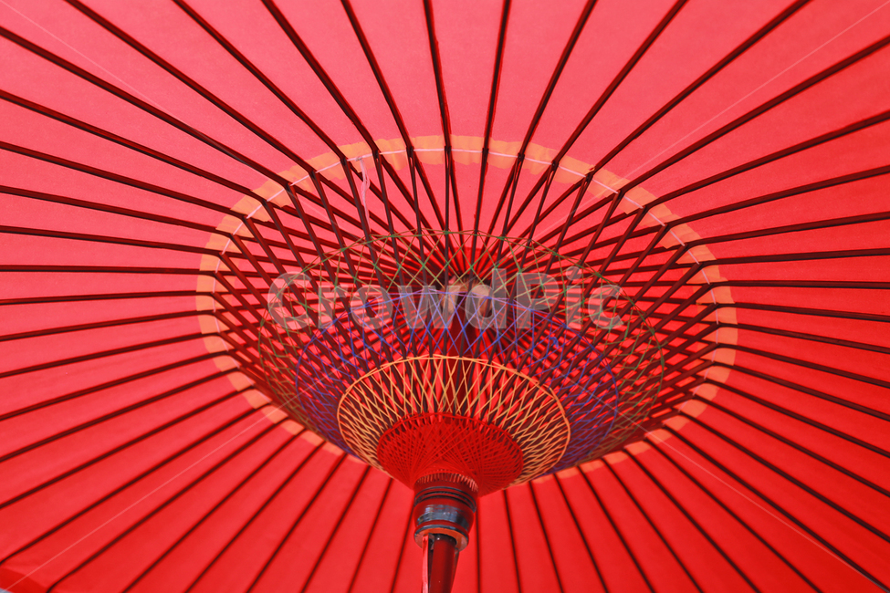 우산,빨간우산,붉은우산,우산살,umbrella,red,우산안쪽