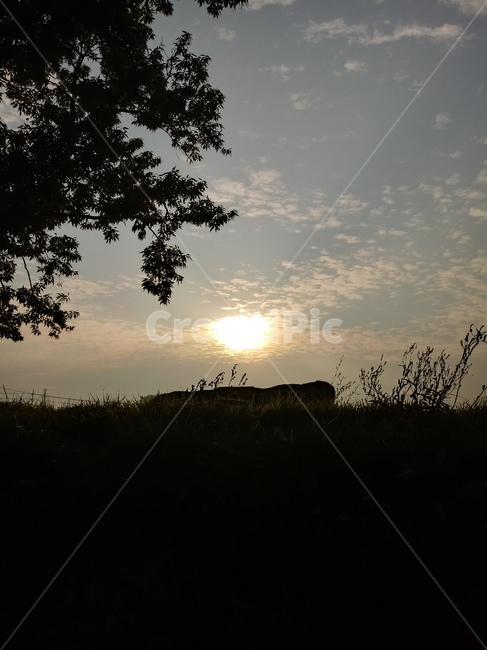 하늘,구름,태양,아침햇살,자연,nature,cloud,sky,sunlight,햇빛,자연,풍경,nature,landscape,light,빛,flare,플레어,outdoors,옥외
