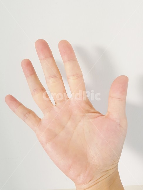 human,인간,person,사람,hand,손,손바닥,신체일부,몸,body